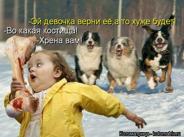 Котоматрица: -Во какая костища! -Эй девочка верни её,а то хуже будет! -Хрена вам!