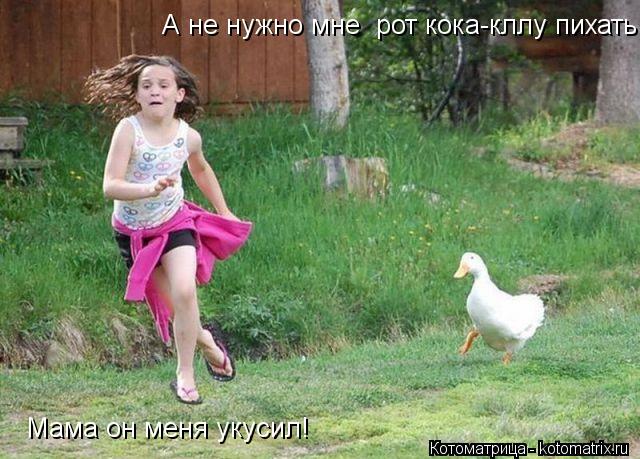 Котоматрица: Мама он меня укусил! А не нужно мне  рот кока-кллу пихать!