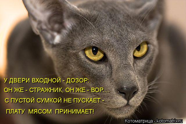 Котоматрица: У ДВЕРИ ВХОДНОЙ - ДОЗОР:  ОН ЖЕ - СТРАЖНИК, ОН ЖЕ - ВОР.... С ПУСТОЙ СУМКОЙ НЕ ПУСКАЕТ - ПЛАТУ  МЯСОМ  ПРИНИМАЕТ!