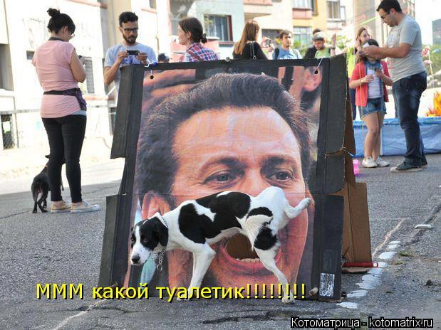 Котоматрица: МММ какой туалетик!!!!!!!!