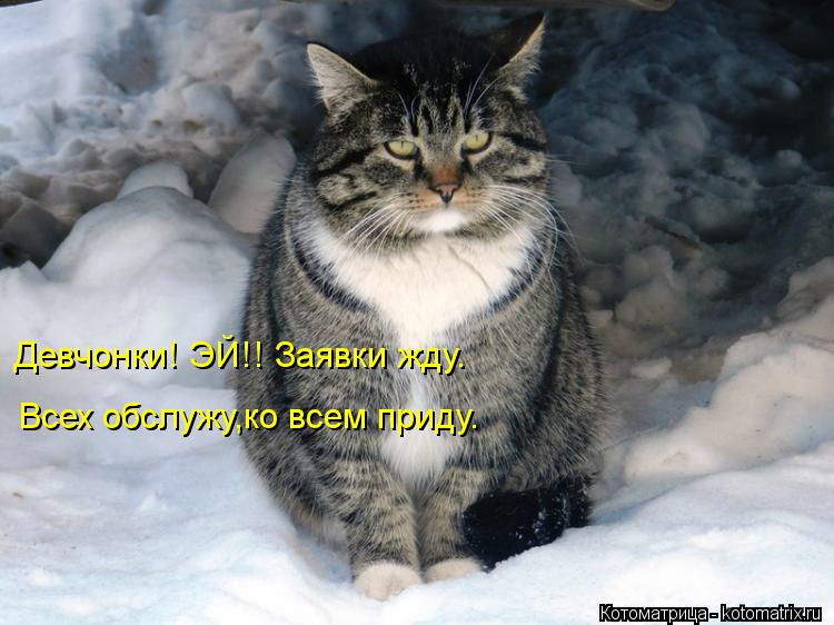 Котоматрица: Девчонки! ЭЙ!! Заявки жду. Всех обслужу,ко всем приду.