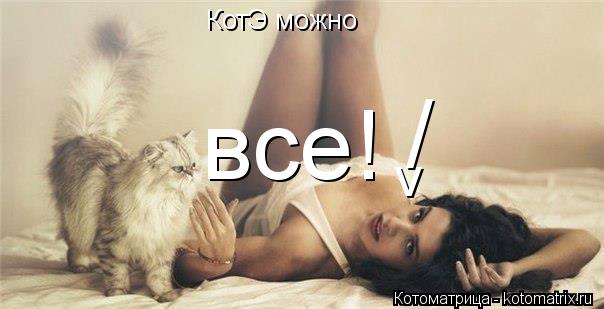 Котоматрица: КотЭ можно  все! / v
