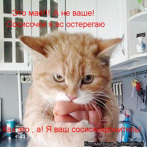 Это маё!!! А не ваше! Сосисочки я ас остерегаю Сосисочки я ас остерегаю Как это , а! Я ваш сосискохро... Котоматрица: Это маё!!! А не ваше! Сосисочки я ас остерегаю Сосисочки я ас остерегаю Как это , а! Я ваш сосискохронитель!
