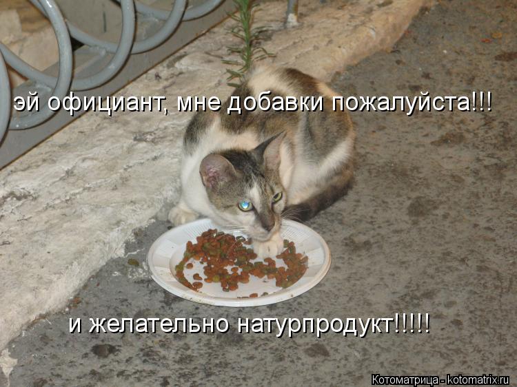Котоматрица: эй официант, мне добавки пожалуйста!!! и желательно натурпродукт!!!!!