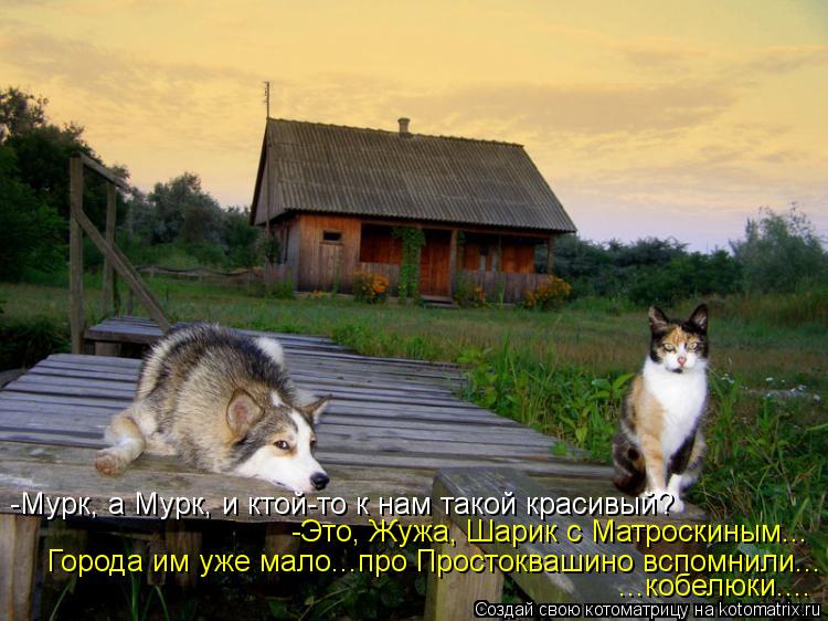 Котоматрица: -Мурк, а Мурк, и ктой-то к нам такой красивый? -Это, Жужа, Шарик с Матроскиным... Города им уже мало...про Простоквашино вспомнили... ...кобелюки....