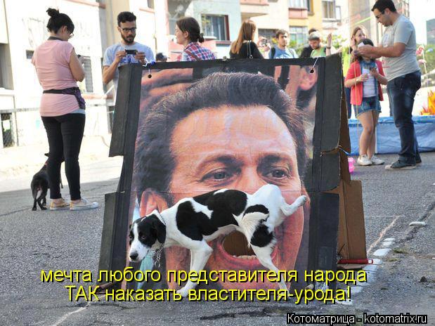 Котоматрица: мечта любого представителя народа ТАК наказать властителя-урода!