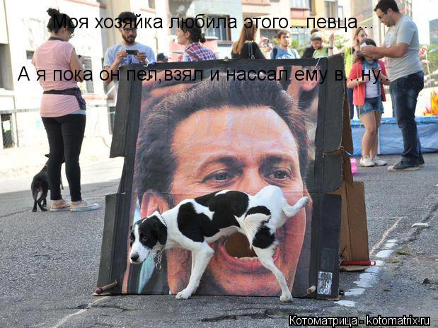 Моя хозяйка любила этого...певца... А я пока он пел,взял и нассал ему в...ну..... Котоматрица: Моя хозяйка любила этого...певца... А я пока он пел,взял и нассал ему в...ну..