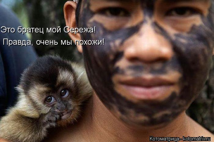 Котоматрица: Это братец мой Сережа! Правда, очень мы похожи!