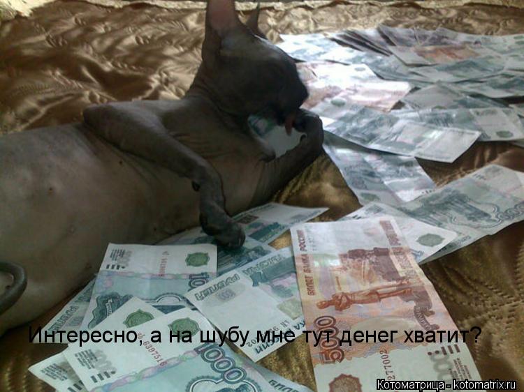 Котоматрица: Интересно, а на шубу мне тут денег хватит?