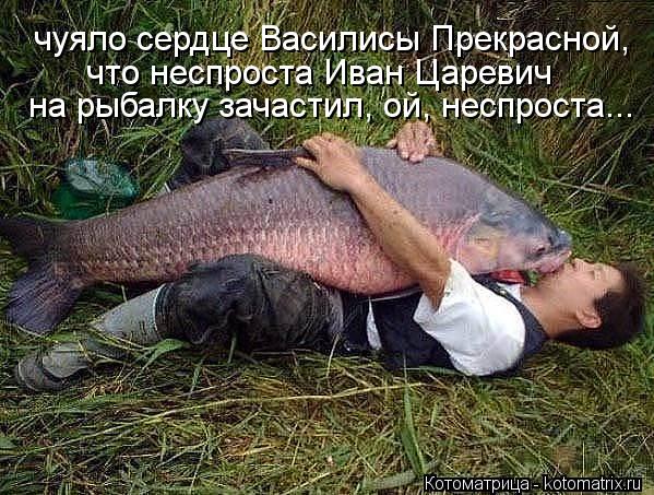 Котоматрица: чуяло сердце Василисы Прекрасной,  что неспроста Иван Царевич  на рыбалку зачастил, ой, неспроста...