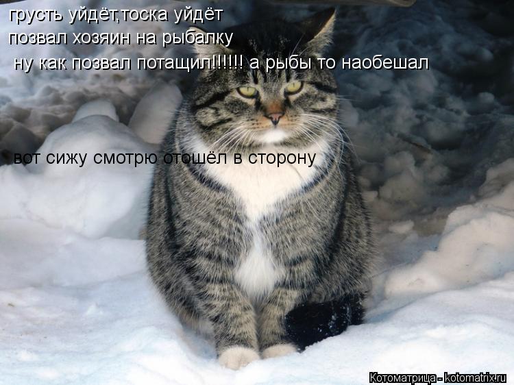Котоматрица: грусть уйдёт,тоска уйдёт позвал хозяин на рыбалку ну как позвал потащил!!!!!! а рыбы то наобешал вот сижу смотрю отошёл в сторону