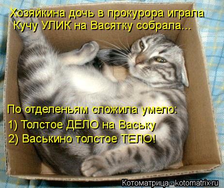 Котоматрица: Хозяйкина дочь в прокурора играла Кучу УЛИК на Васятку собрала... 1) Толстое ДЕЛО на Ваську 2) Васькино толстое ТЕЛО! По отделеньям сложила ум