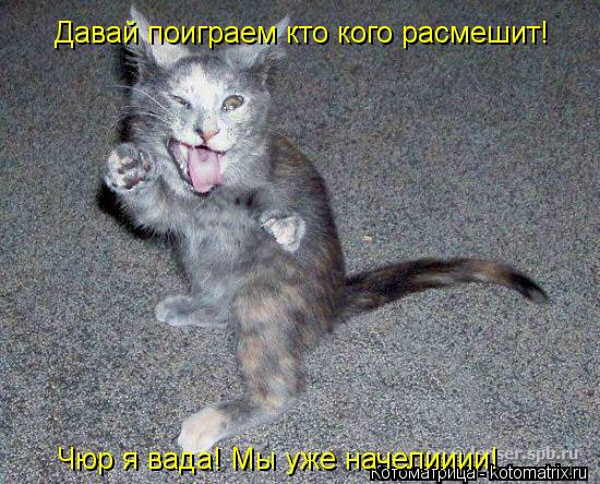 Давай поиграем кто кого расмешит! Чюр я вада! Мы уже начелииии!... Котоматрица: Давай поиграем кто кого расмешит! Чюр я вада! Мы уже начелииии!