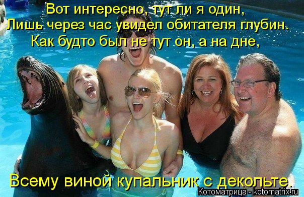 Котоматрица: Вот интересно, тут ли я один, Лишь через час увидел обитателя глубин. Как будто был не тут он, а на дне, Всему виной купальник с декольте.