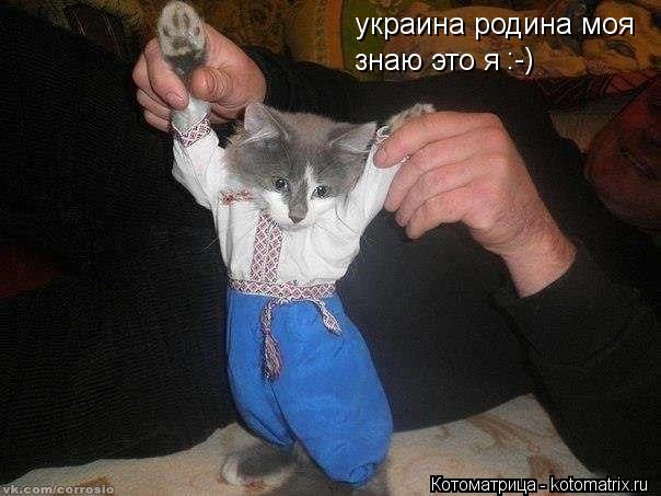 фото украина родина моя онлайн фото украина родина моя