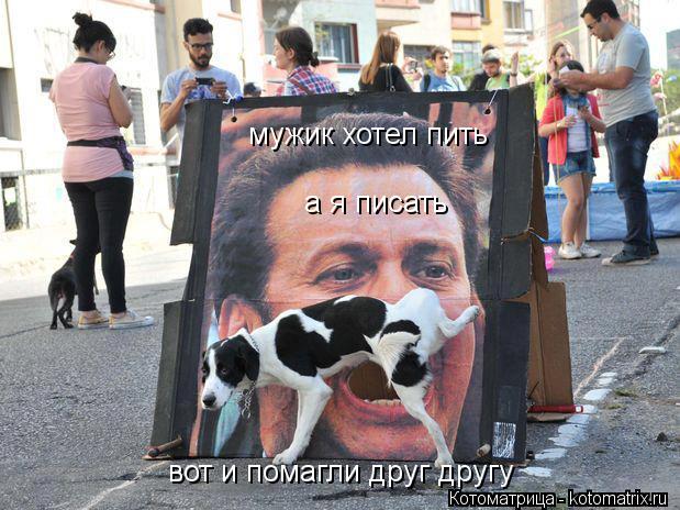 Котоматрица: мужик хотел пить а я писать вот и помагли друг другу