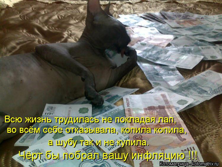Котоматрица: Всю жизнь трудилась не покладая лап,   во всём себе отказывала, копила копила,   а шубу так и не купила. Чёрт бы побрал вашу инфляцию !!!