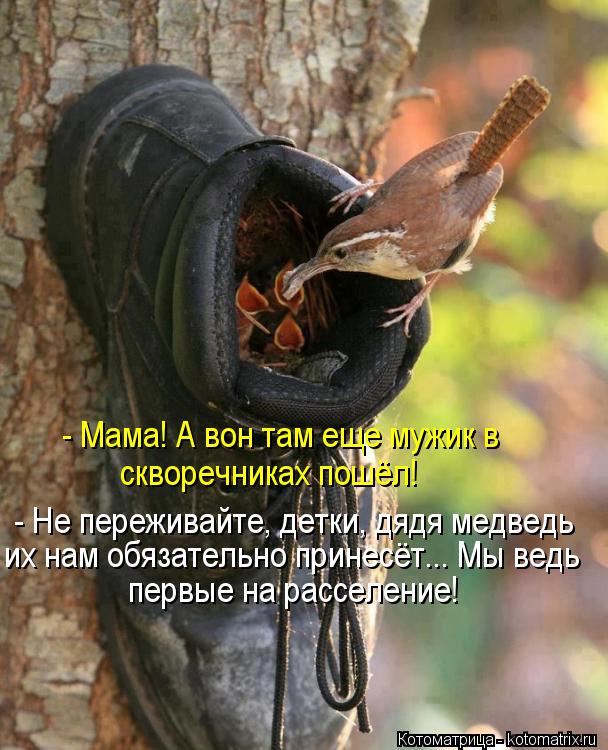 Котоматрица: - Мама! А вон там еще мужик в  скворечниках пошёл! - Не переживайте, детки, дядя медведь их нам обязательно принесёт... Мы ведь первые на рассел