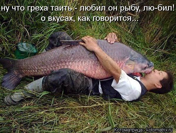 Котоматрица: ну что грeха таить - любил он рыбу, лю-бил! о вкусах, как говорится... о вкусах, как говорится...