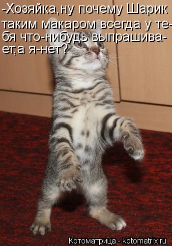 Котоматрица: -Хозяйка,ну почему Шарик таким макаром всегда у те- бя что-нибудь выпрашива- ет,а я-нет?