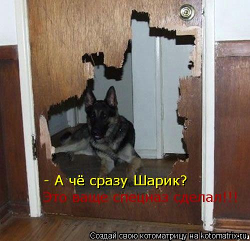 Котоматрица: - А чё сразу Шарик? Это ваще спецназ сделал!!!