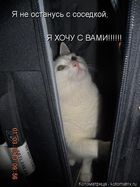 Котоматрица: Я не останусь с соседкой, Я ХОЧУ С ВАМИ!!!!!!