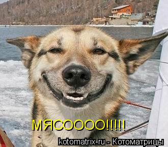 Котоматрица: МЯСОООО!!!!!