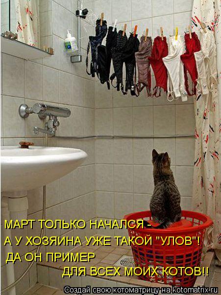 Котоматрица: ДЛЯ ВСЕХ МОИХ КОТОВ!! ДА ОН ПРИМЕР А У ХОЗЯИНА УЖЕ ТАКОЙ "УЛОВ"! МАРТ ТОЛЬКО НАЧАЛСЯ -