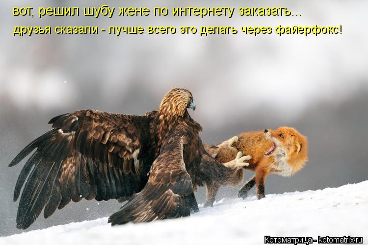 Котоматрица: друзья сказали - лучше всего это делать через файерфокс! вот, решил шубу жене по интернету заказать...