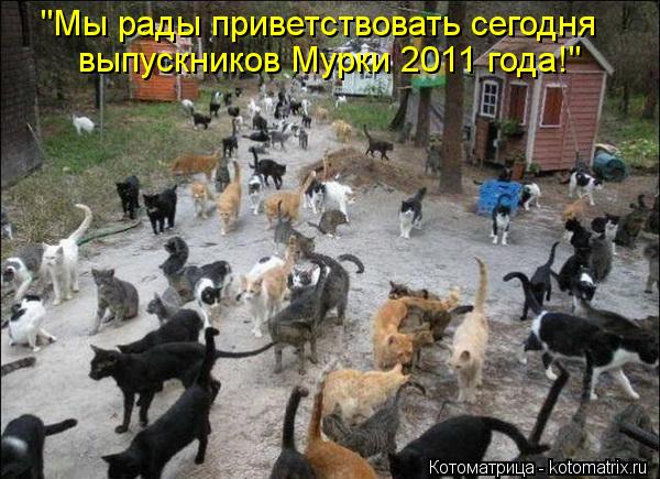 "Мы рады приветствовать сегодня выпускников Мурки 2011 года!"... Котоматрица: "Мы рады приветствовать сегодня выпускников Мурки 2011 года!"