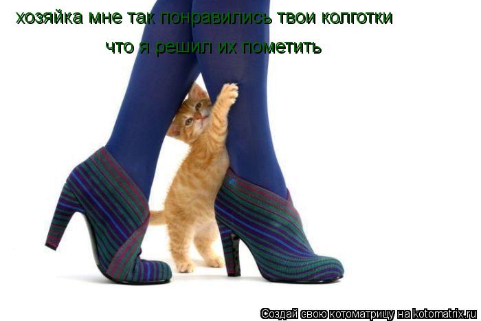 Котоматрица: хозяйка мне так понравились твои колготки  что я решил их пометить