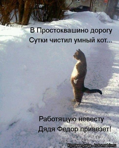 Работящую невесту Дядя Федор привезет! В Простоквашино дорогу Сутки чистил умный кот...... Котоматрица: Работящую невесту Дядя Федор привезет! В Простоквашино дорогу Сутки чистил умный кот...