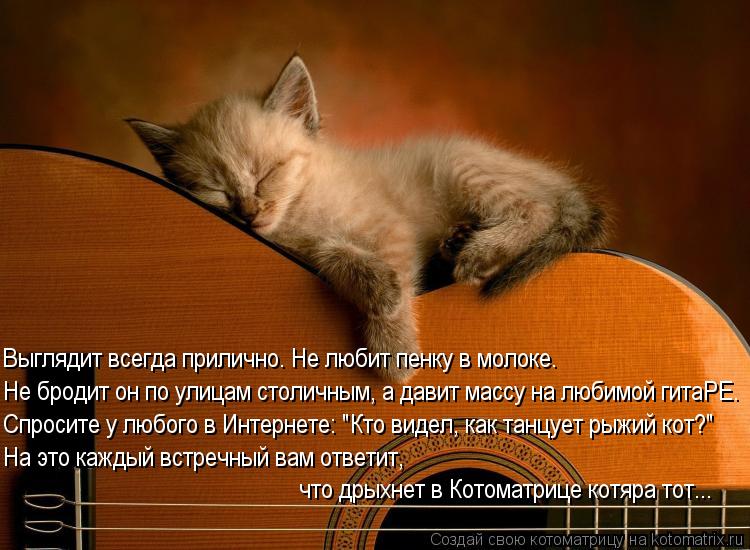 Котоматрица: Выглядит всегда прилично. Не любит пенку в молоке.         Не бродит он по улицам столичным, а давит массу на любимой гитаРЕ. Спросите у любого в