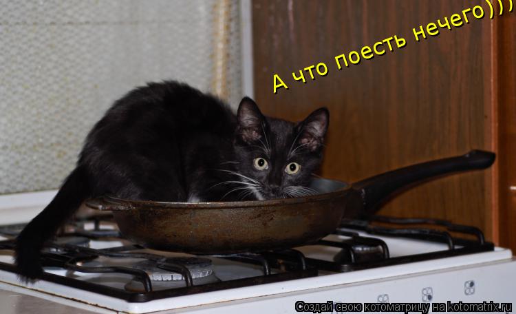 Котоматрица: А что поесть нечего)))