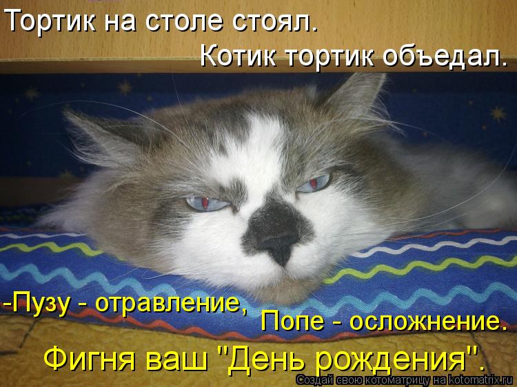 Котоматрица: Тортик на столе стоял.  Котик тортик объедал. -Пузу - отравление,  Попе - осложнение. Фигня ваш "День рождения".