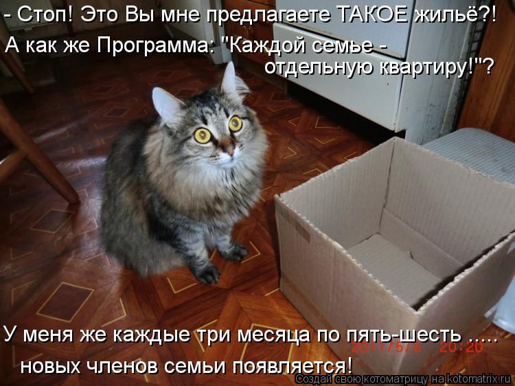Котоматрица: отдельную квартиру!"? А как же Программа: "Каждой семье -  - Стоп! Это Вы мне предлагаете ТАКОЕ жильё?! У меня же каждые три месяца по пять-шесть 