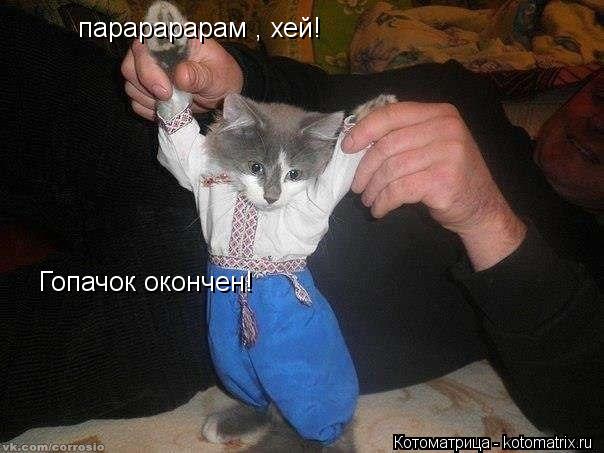 Котоматрица: парарарарам , хей! Гопачок окончен!