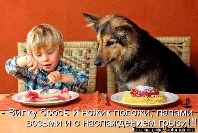 Котоматрица: - Вилку брось и ножик положи, лапами  возьми и с наслаждением грызи!!!