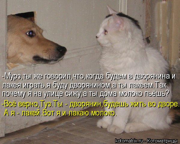 Котоматрица: -Мурз,ты же говорил,что,когда будем в дворянина и лакея играть,я буду дворянином,а ты лакеем.Так -Всё верно,Туз.Ты - дворянин,будешь жить во дв