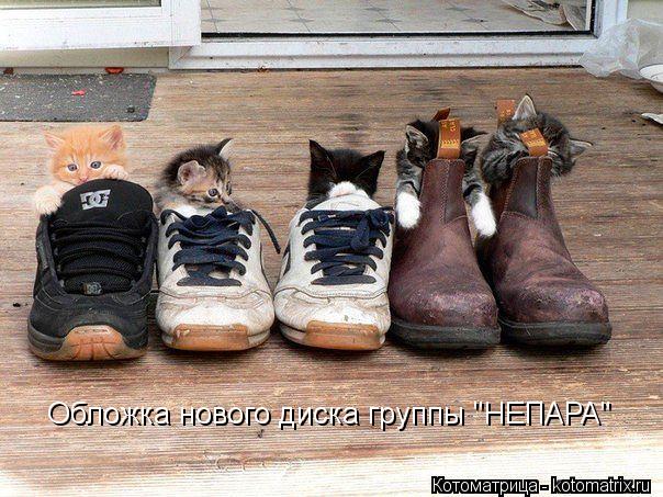 Котоматрица: Обложка нового диска группы "НЕПАРА"