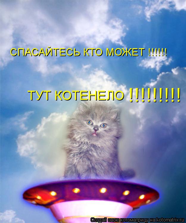 Котоматрица: СПАСАЙТЕСЬ КТО МОЖЕТ !!!!!! ТУТ КОТЕНЕЛО !!!!!!!!!