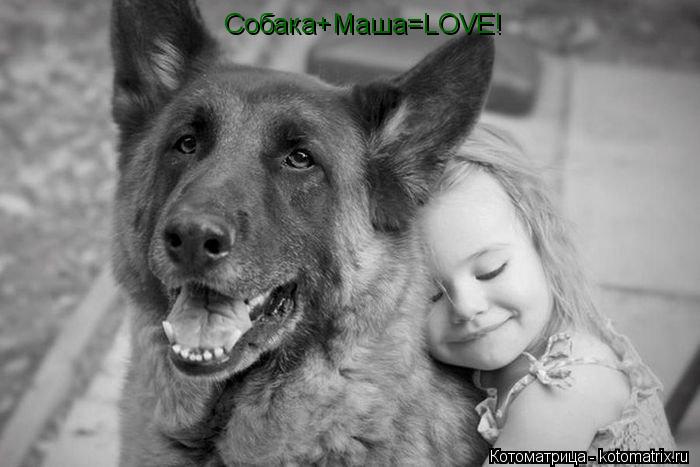 Котоматрица: Собака+Маша=LOVE!
