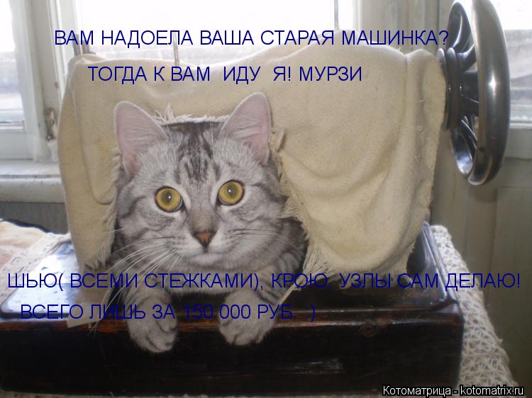 Котоматрица: ВАМ НАДОЕЛА ВАША СТАРАЯ МАШИНКА? ТОГДА К ВАМ  ИДУ  Я! МУРЗИ ШЬЮ( ВСЕМИ СТЕЖКАМИ), КРОЮ, УЗЛЫ САМ ДЕЛАЮ! ВСЕГО ЛИШЬ ЗА 150 000 РУБ. :)