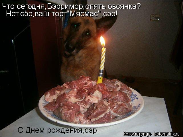 Котоматрица: Что сегодня,Бэрримор,опять овсянка? Нет,сэр,ваш торт"Мясмас",сэр! С Днем рождения,сэр!