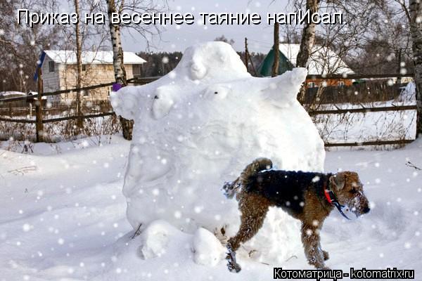 Котоматрица: Приказ на весеннее таяние напИсал.