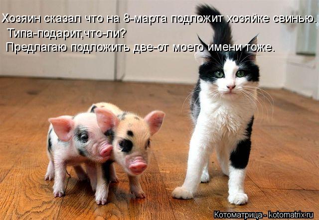 Котоматрица: Хозяин сказал что на 8-марта подложит хозяйке свинью. Типа-подарит,что-ли? Предлагаю подложить две-от моего имени тоже.