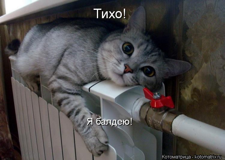 Котоматрица: Тихо! Я балдею!