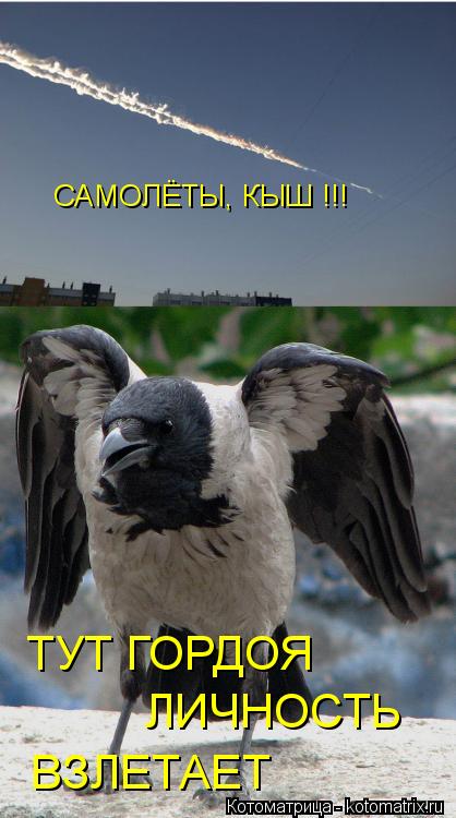 Котоматрица: САМОЛЁТЫ, КЫШ !!! ТУТ ГОРДОЯ ЛИЧНОСТЬ ВЗЛЕТАЕТ