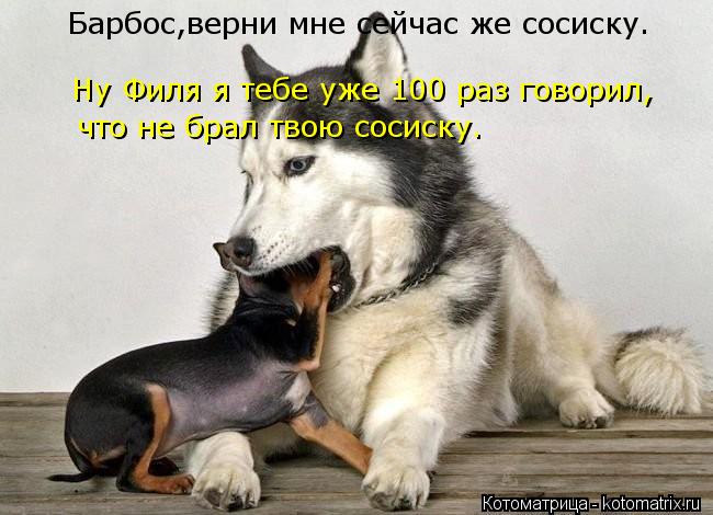 Котоматрица: Барбос,верни мне сейчас же сосиску. Ну Филя я тебе уже 100 раз говорил,  что не брал твою сосиску.