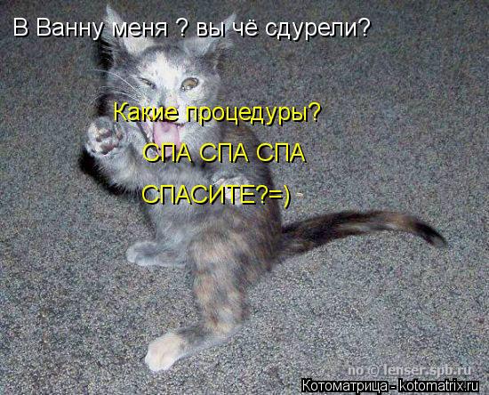 Котоматрица: В Ванну меня ? вы чё сдурели? Какие процедуры? СПА СПА СПА СПАСИТЕ?=)